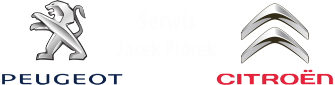 Serwis Citroen Peugeot Warszawa service